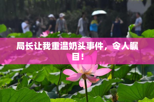 局长让我重温奶头事件，令人瞩目！