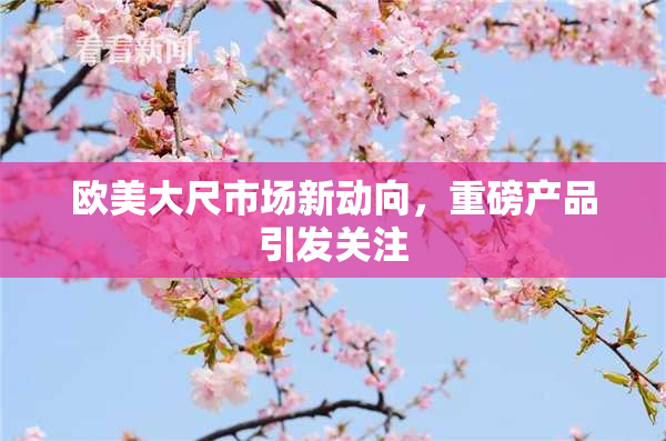 欧美大尺市场新动向，重磅产品引发关注