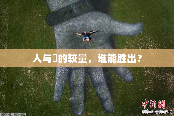 人与嘼的较量，谁能胜出？