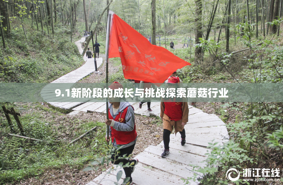 9.1新阶段的成长与挑战探索蘑菇行业