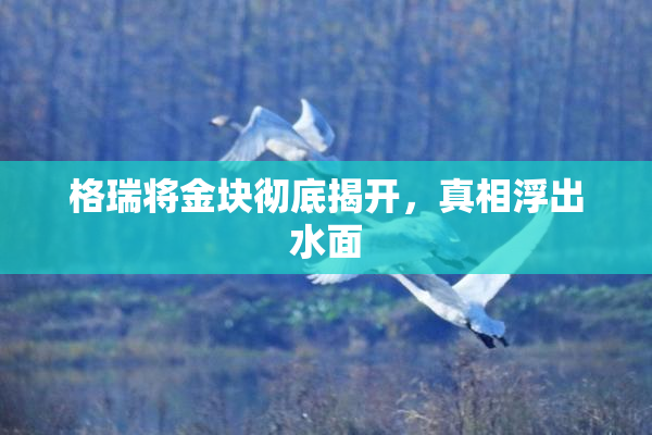 格瑞将金块彻底揭开，真相浮出水面