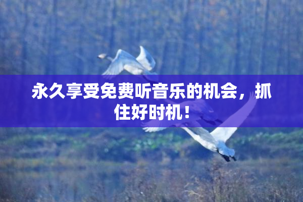 永久享受免费听音乐的机会，抓住好时机！