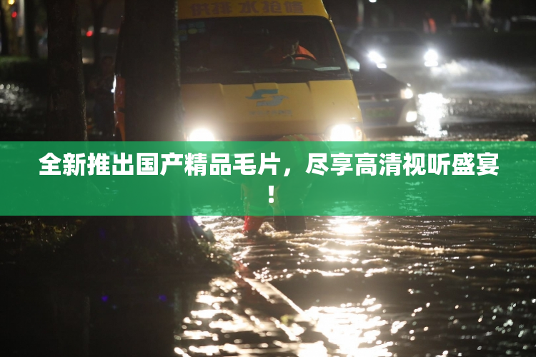 全新推出国产精品毛片，尽享高清视听盛宴！