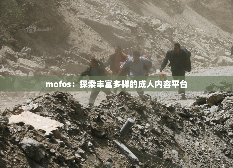 mofos：探索丰富多样的成人内容平台