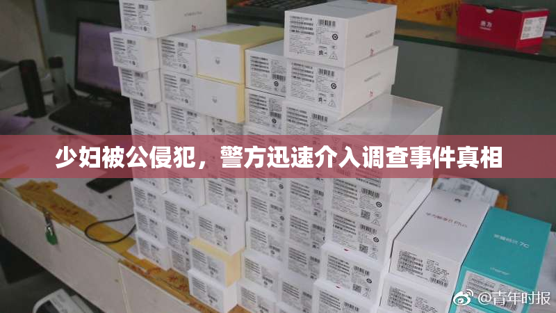 少妇被公侵犯，警方迅速介入调查事件真相