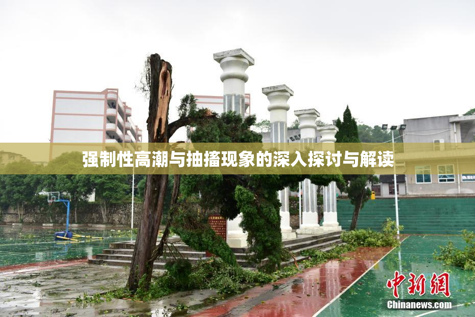 强制性高潮与抽搐现象的深入探讨与解读