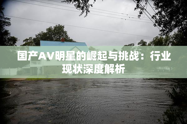 国产AV明星的崛起与挑战：行业现状深度解析