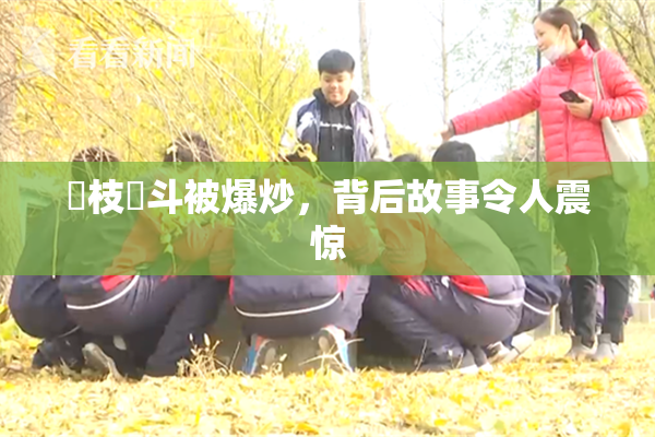 狛枝凪斗被爆炒，背后故事令人震惊
