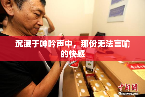 沉浸于呻吟声中，那份无法言喻的快感