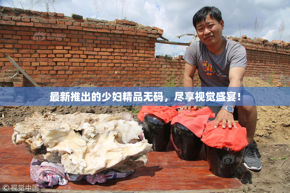 最新推出的少妇精品无码，尽享视觉盛宴！