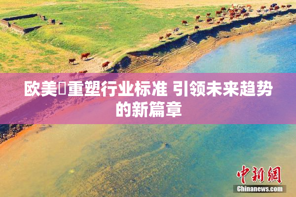 欧美巜重塑行业标准 引领未来趋势的新篇章