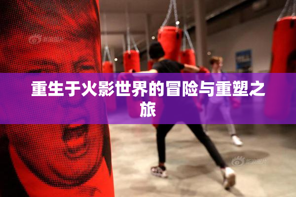 重生于火影世界的冒险与重塑之旅