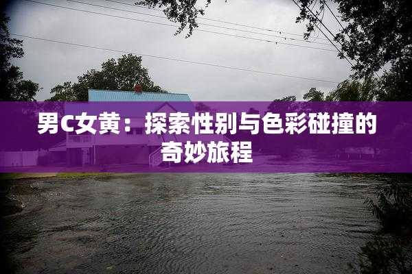 男C女黄：探索性别与色彩碰撞的奇妙旅程