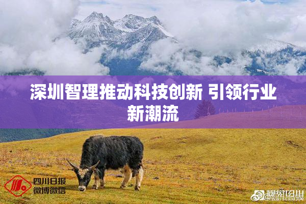 深圳智理推动科技创新 引领行业新潮流