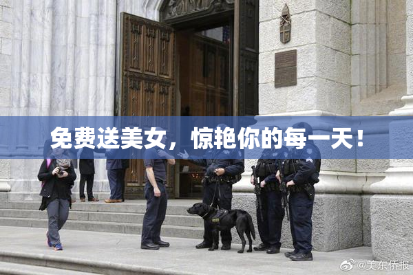 免费送美女，惊艳你的每一天！