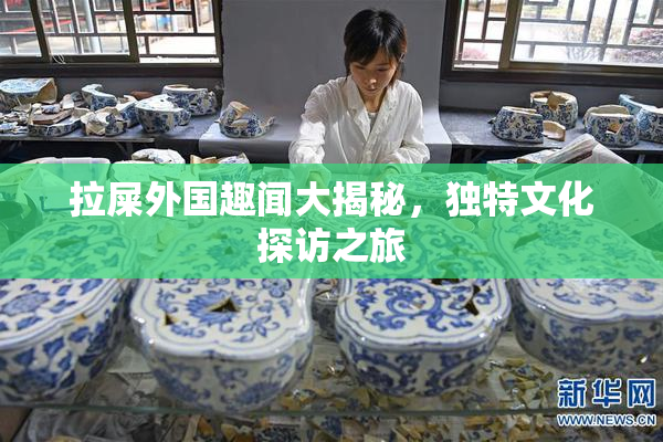 拉屎外国趣闻大揭秘，独特文化探访之旅