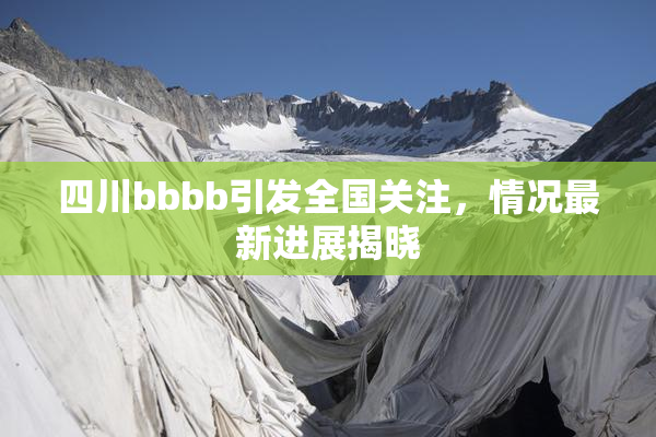 四川bbbb引发全国关注，情况最新进展揭晓