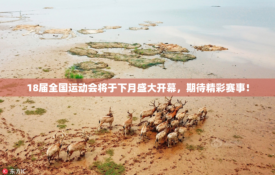 18届全国运动会将于下月盛大开幕，期待精彩赛事！