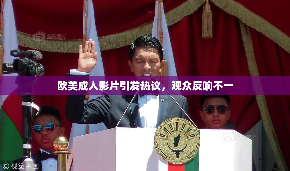 欧美成人影片引发热议，观众反响不一