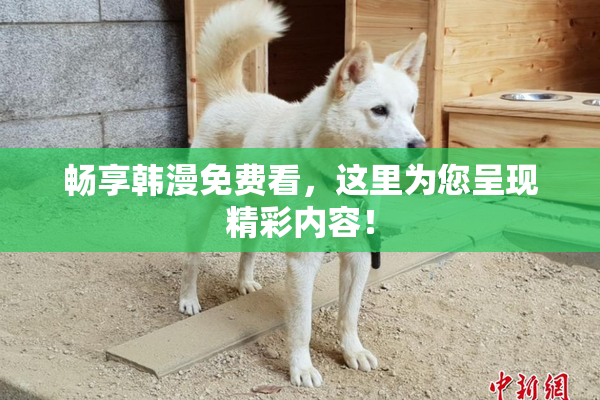 畅享韩漫免费看，这里为您呈现精彩内容！