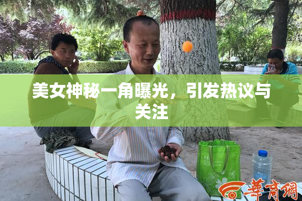 美女神秘一角曝光，引发热议与关注