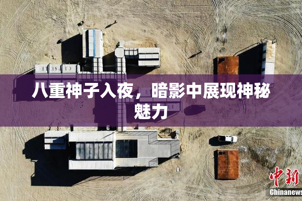 八重神子入夜，暗影中展现神秘魅力