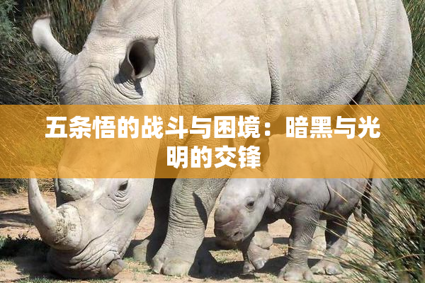 五条悟的战斗与困境：暗黑与光明的交锋