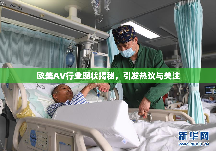 欧美AV行业现状揭秘，引发热议与关注