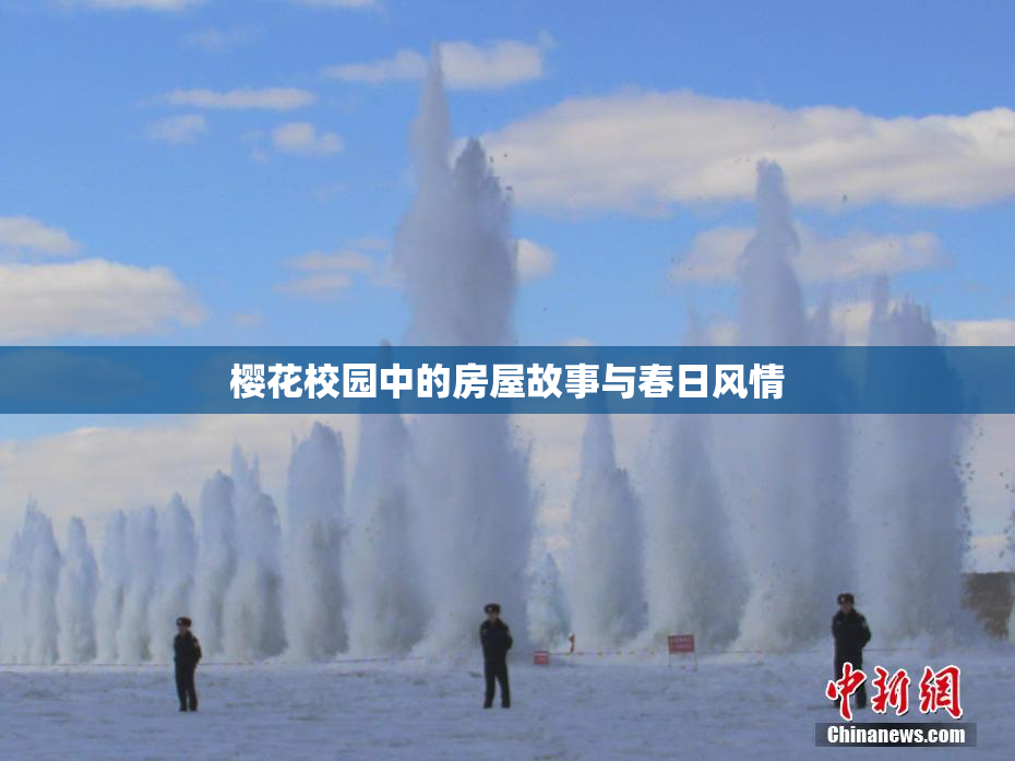 樱花校园中的房屋故事与春日风情