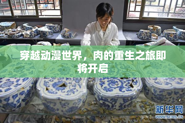 穿越动漫世界，肉的重生之旅即将开启
