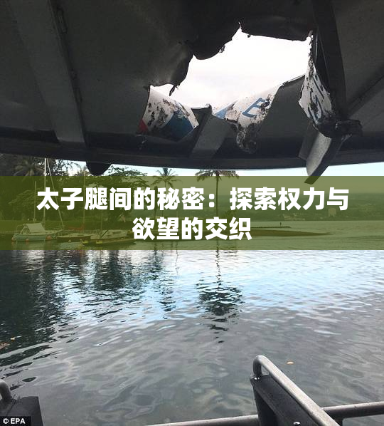 太子腿间的秘密：探索权力与欲望的交织