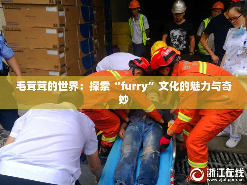 毛茸茸的世界：探索“furry”文化的魅力与奇妙