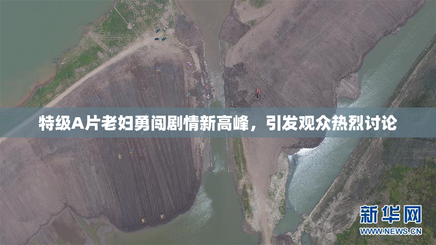 特级A片老妇勇闯剧情新高峰，引发观众热烈讨论