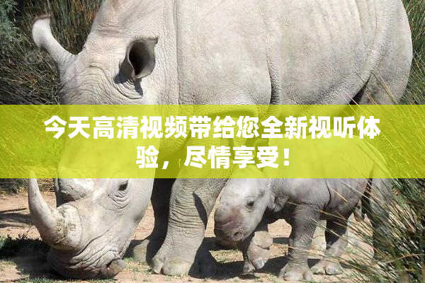 今天高清视频带给您全新视听体验，尽情享受！