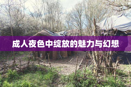 成人夜色中绽放的魅力与幻想