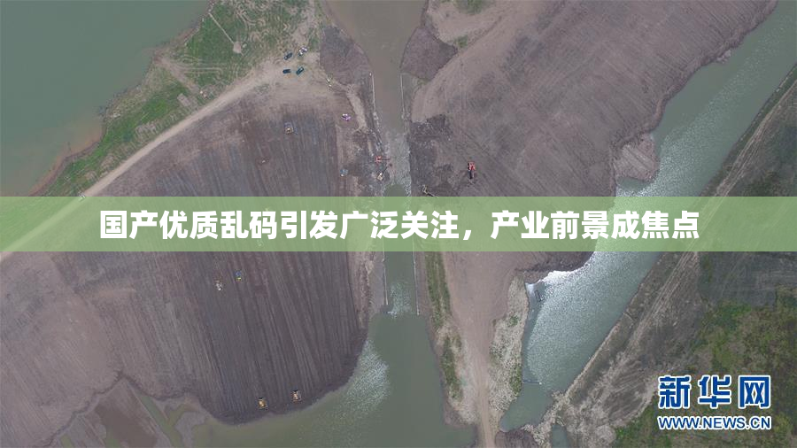 国产优质乱码引发广泛关注，产业前景成焦点