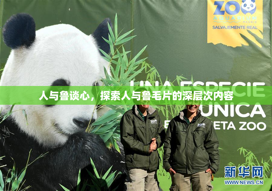 人与鲁谈心，探索人与鲁毛片的深层次内容