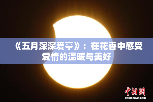《五月深深爱亭》：在花香中感受爱情的温暖与美好