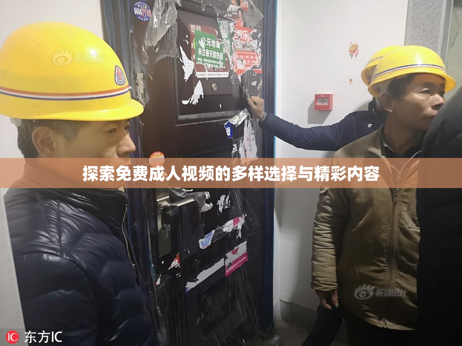 探索免费成人视频的多样选择与精彩内容