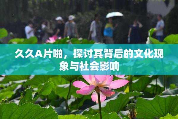 久久A片啪，探讨其背后的文化现象与社会影响