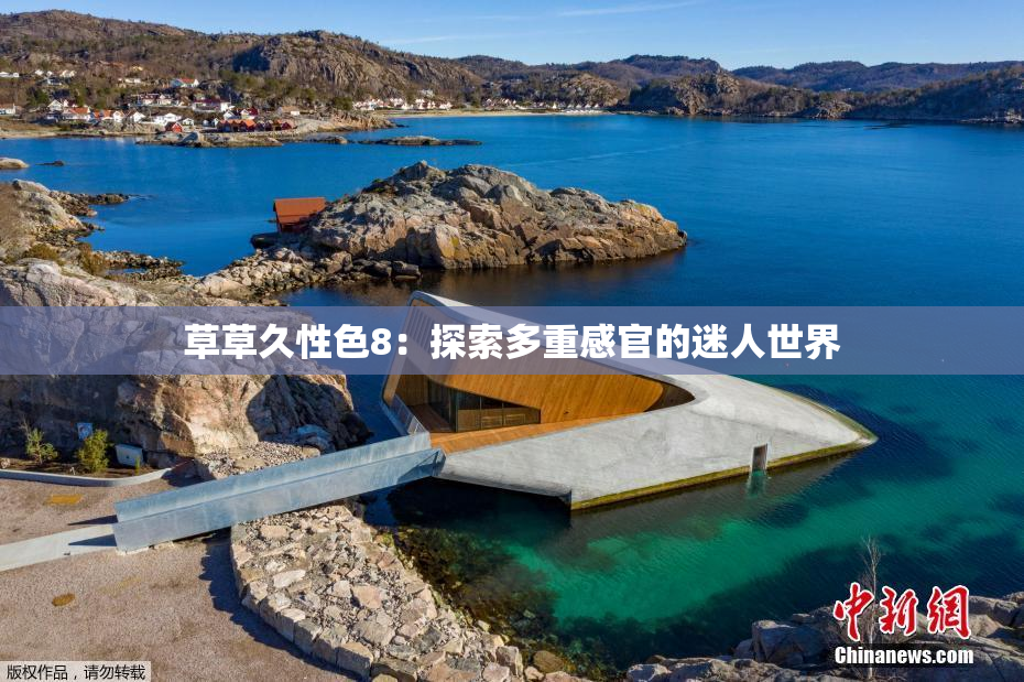 草草久性色8：探索多重感官的迷人世界