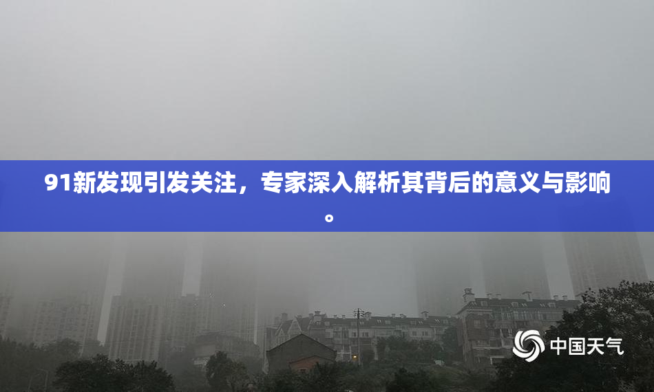 91新发现引发关注，专家深入解析其背后的意义与影响。