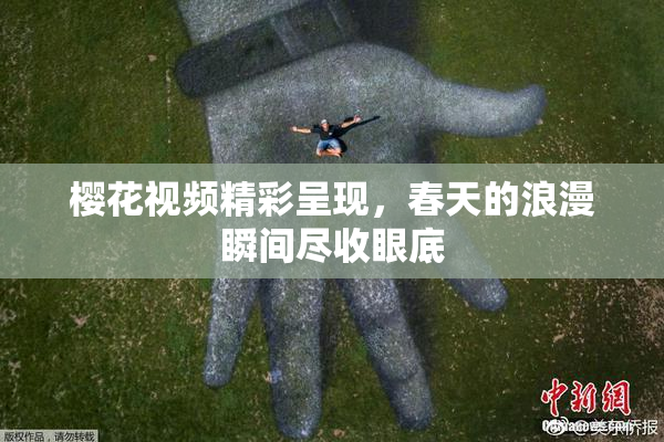 樱花视频精彩呈现，春天的浪漫瞬间尽收眼底