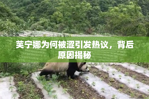 芙宁娜为何被涩引发热议，背后原因揭秘