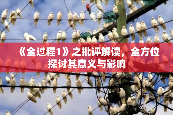 《全过程1》之批评解读，全方位探讨其意义与影响