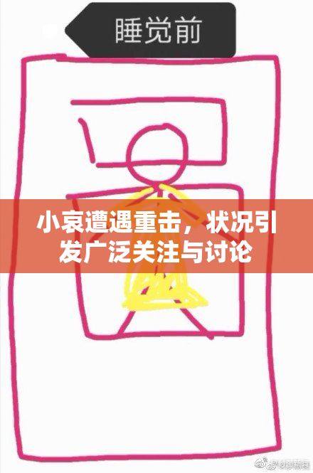 小哀遭遇重击，状况引发广泛关注与讨论
