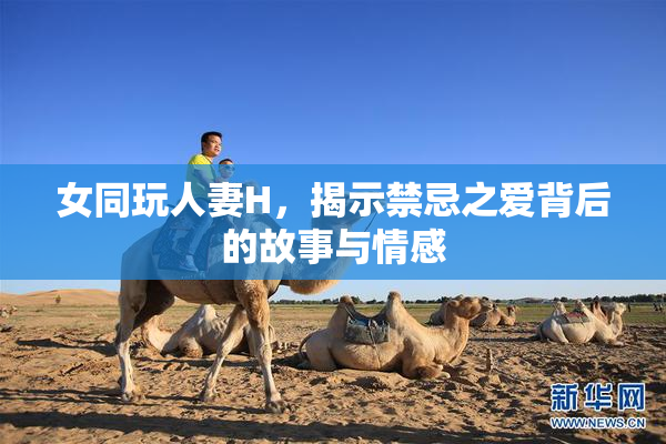 女同玩人妻H，揭示禁忌之爱背后的故事与情感