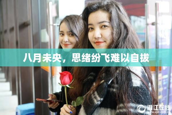 八月未央，思绪纷飞难以自拔