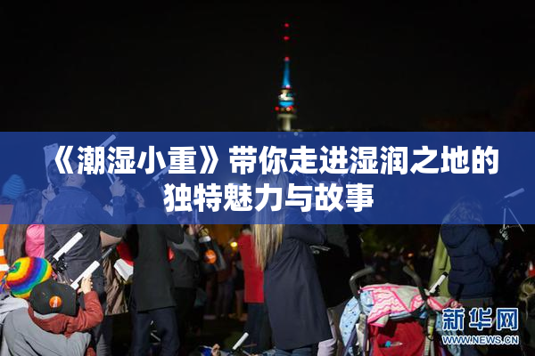 《潮湿小重》带你走进湿润之地的独特魅力与故事