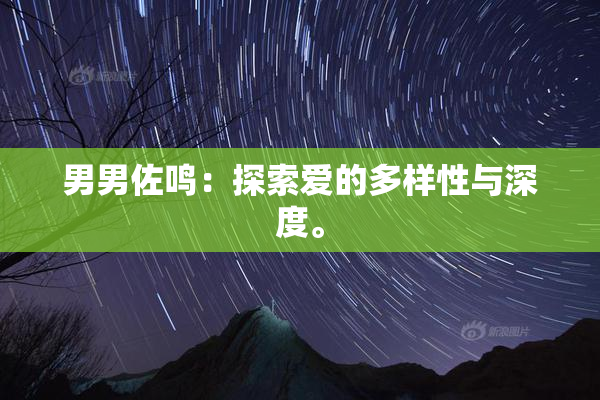 男男佐鸣：探索爱的多样性与深度。